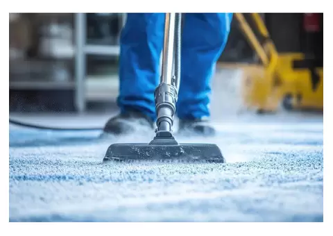 Reliable Carpet Cleaning in Point Cook: True Carpet Cleaning