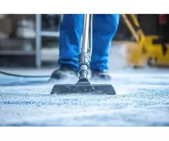 Reliable Carpet Cleaning in Point Cook: True Carpet Cleaning