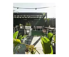 Vegan Cafe Near Me | Doublepour.com.au