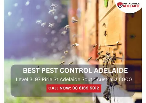 Building Inspection Adelaide – Comprehensive Pest & Property Assessments