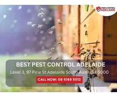 Building Inspection Adelaide – Comprehensive Pest & Property Assessments