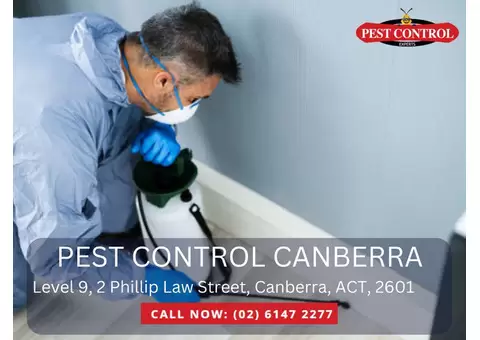 Termite Treatment Canberra – Protect Your Property