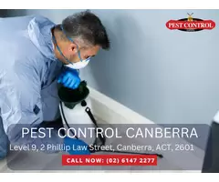 Termite Treatment Canberra – Protect Your Property