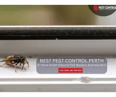 Pest Control Rockingham – Expert Solutions for Your Home