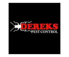 Dereks Possum Removal Sydney