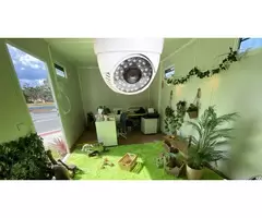 Checkout the Best Child's Security and Safety Measures at Early Learning Childcare Harrisdale