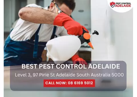 Pest Management Adelaide – Comprehensive Pest Control Solutions
