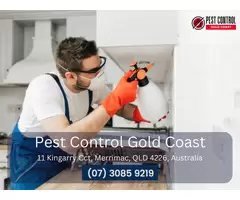 Get Rid of Termites Gold Coast – Reliable Termite Solutions