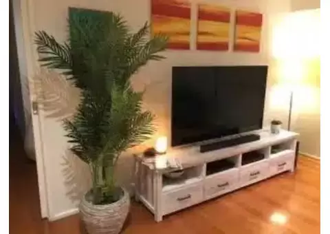 Shop Artificial Plants Online for Greater Convenience