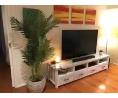 Shop Artificial Plants Online for Greater Convenience