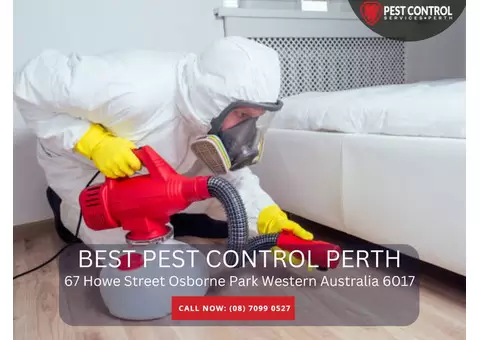Pest Inspection Cost in Perth – Affordable Services