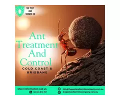 Professional Ant Control Services - Effective Ant Treatments