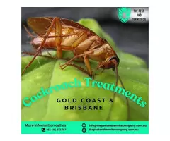 Expert Cockroach Treatment in Gold Coast – Guaranteed Results!