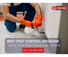Rodent Treatment Services in Brisbane – Protect Your Property
