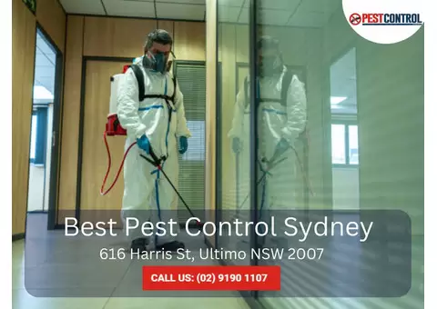 Pest Inspection Services in Sydney – Early Detection and Prevention