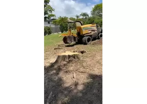 Expert Stump Removal Services on the Gold Coast