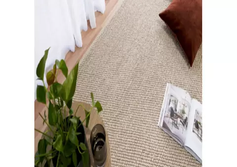 Massive Clearance Sale – Save Big on Modern Rugs | All Modern Rugs