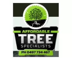Affordable Tree Specialists