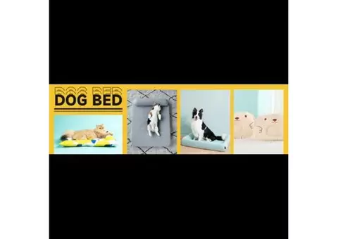 Petso Provides Best Dog Bed with Letest Design
