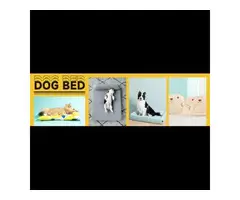 Petso Provides Best Dog Bed with Letest Design
