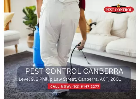 Rodent Treatment Services in Canberra – Fast and Effective