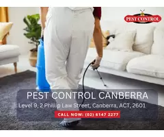 Rodent Treatment Services in Canberra – Fast and Effective