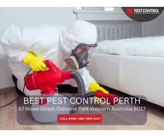 Residential Pest Removal in Perth – Fast and Effective Solutions