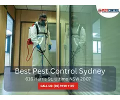 Get Rid of Termites Sydney – Expert Solutions