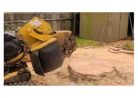 Expert Stump Grinding Company to Beautify Your Landscape