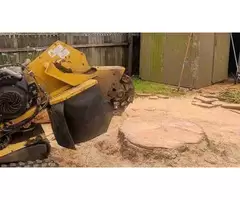 Expert Stump Grinding Company to Beautify Your Landscape