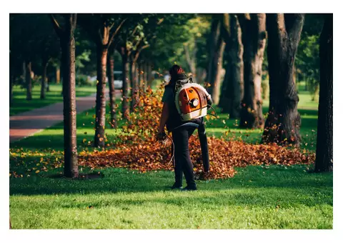 Need Garden Maintenance? MPG Experts Can Help!