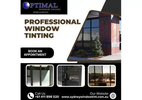 Professional Window Tinting Services