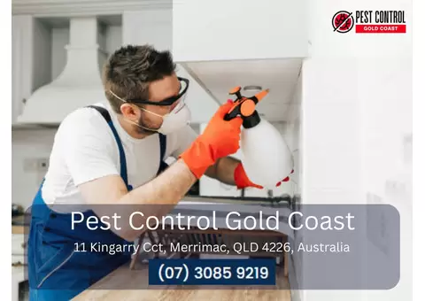 Professional Pest Control in Runaway Bay