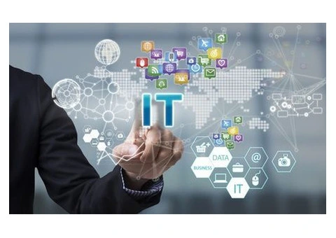 Professional IT Services