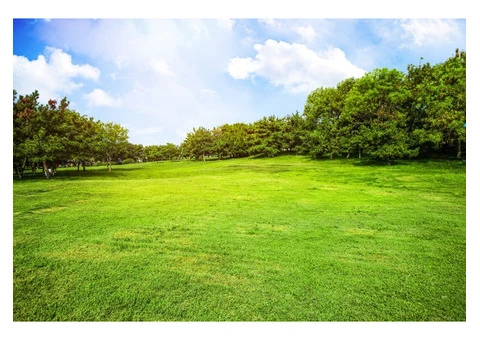 lawn care mowing services western suburbs