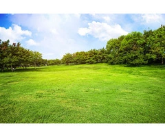 lawn care mowing services western suburbs