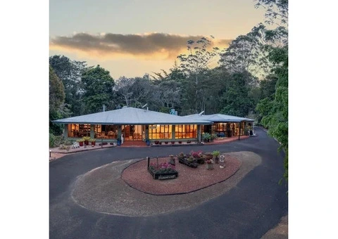 Stay at Affordable Accommodation near Yungaburra for Ultimate Comfort