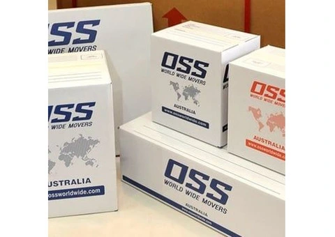 Professional Packing for International Moving