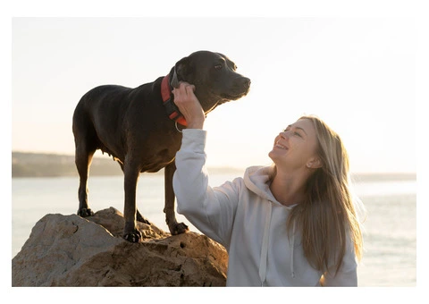 How Does LifeWise Biotic F.A.S. Calm Regulate Stress Hormones?