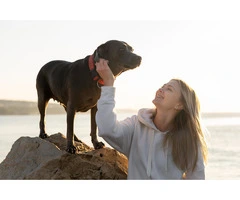 How Does LifeWise Biotic F.A.S. Calm Regulate Stress Hormones?