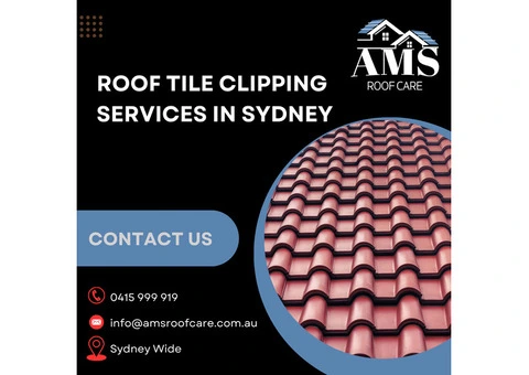 Roof Tile Clipping Services in Sydney