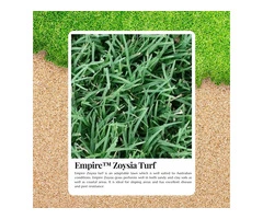 The Low-Mow Lawn You’ve Been Dreaming Of with Zoysia