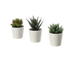 3 Pack of Artificial Succulent Potted Plants in White Plastic 6cm Pot Interior Decoration