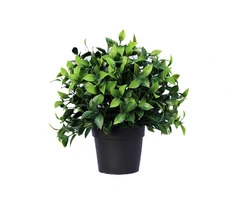 Small Potted Artificial Jasmine Plant UV Resistant 20cm
