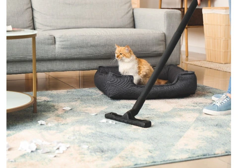 Sameday Carpet Cleaning Surfers Paradise