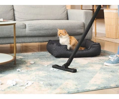 Sameday Carpet Cleaning Surfers Paradise