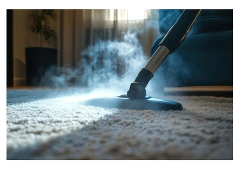 Sink into Freshly Clean Carpets with AMS Carpet Cleaning in Perth, WA - 1/6