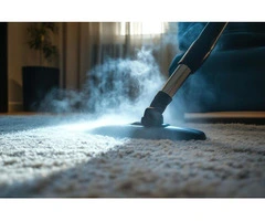 Sink into Freshly Clean Carpets with AMS Carpet Cleaning in Perth, WA