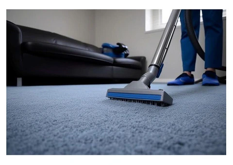 Sink into Freshly Clean Carpets with AMS Carpet Cleaning in Perth, WA - 2/6