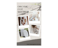Best Non Toxic Organic Cot Mattress in Australia !